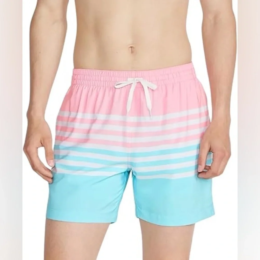 NEW CHUBBIES Swim Trunks in On the Horizon 5.5